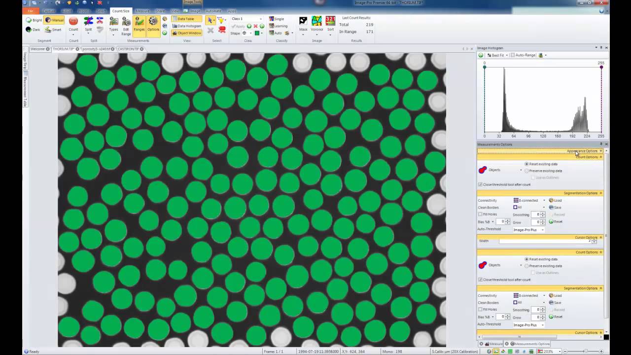 green dots in MS paint
